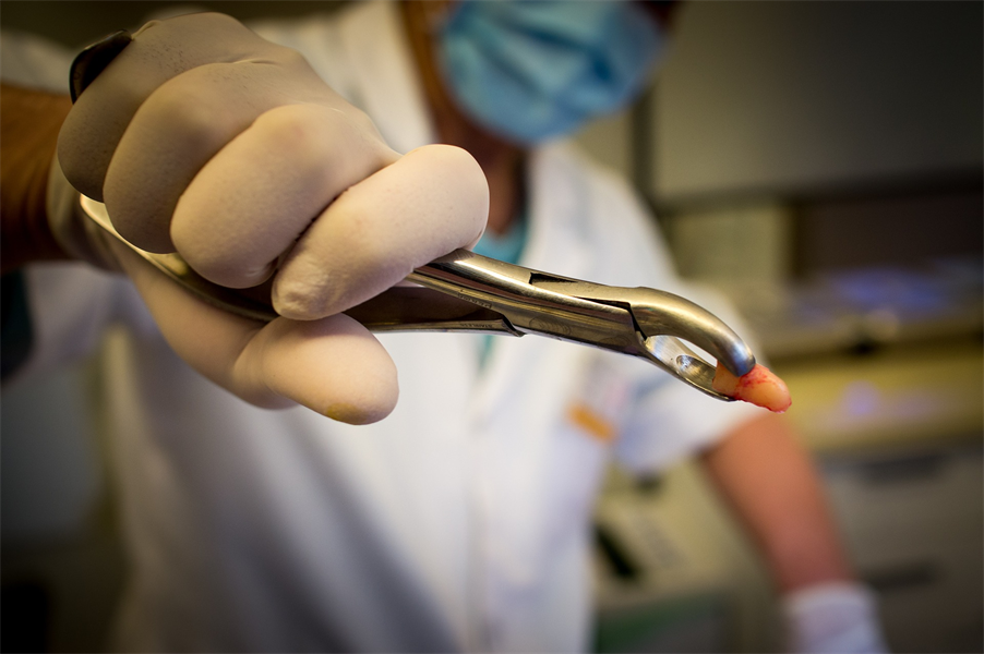 Dealing with Dental Malpractice