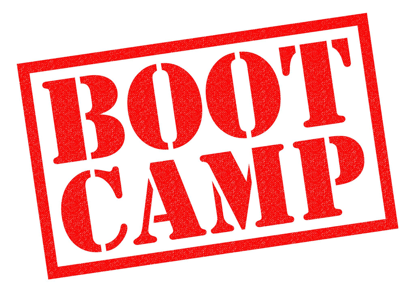 The Success of Bootcamp 2018