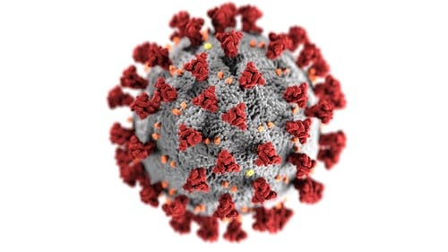 Can I ask Patrons If They Are Vaccinated?