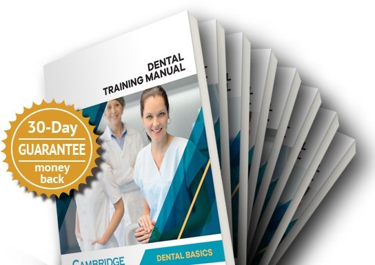 Strategies for Working Smarter, Not Harder in Your Dental Practice