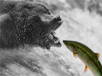 How to Make the Transition from Solo Clinician to Dentrepreneurial CEO