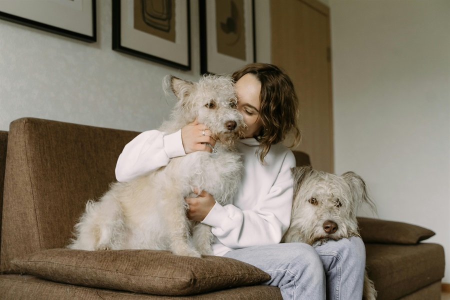 Is Your Pet Part of Your Estate Plan?