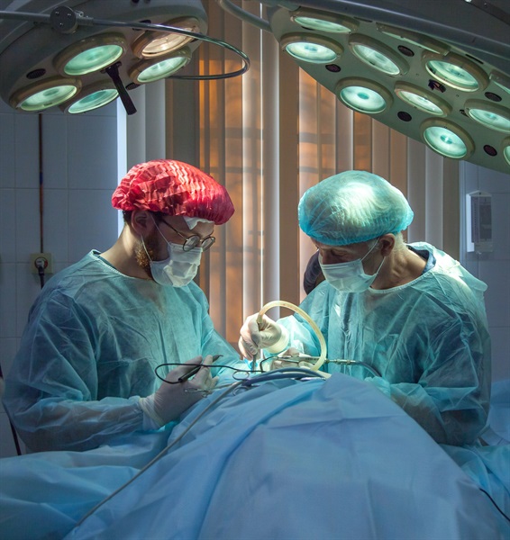 3 Ideas For Passive Income From a Plastic Surgeon