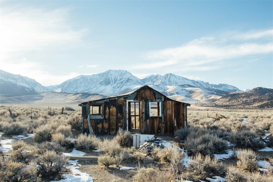 Investing in Tax Liens: An Effective Passive Income Investment