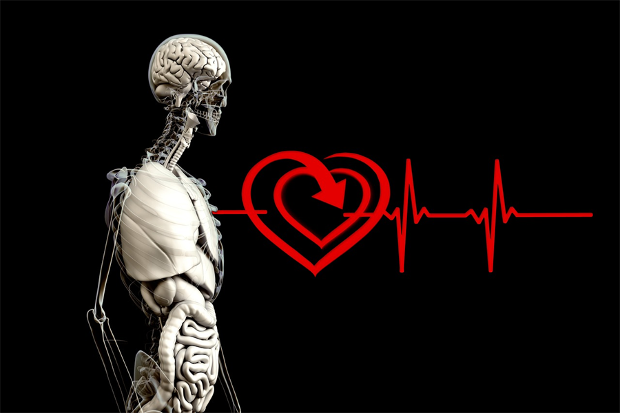 PEMF & MItochondria: 4-Month Follow-Up