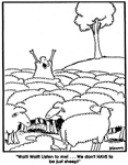 Continuous Improvement: The Practice’s Culture