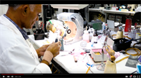 Bego Cast Partials Removable Lab Tour Video 
