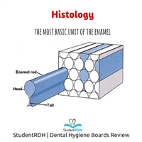 The basic unit of the tooth enamel is the: