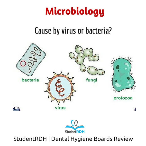 Q: Which condition is NOT caused by a virus?