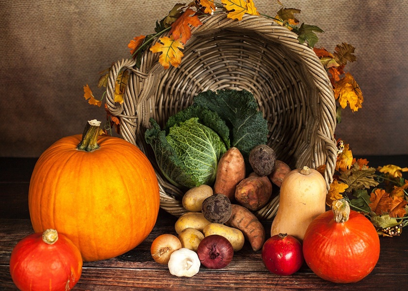Thanksgiving Blessings 