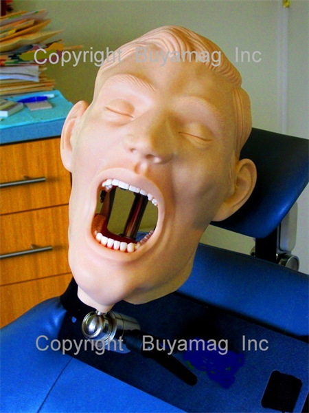 BUYAMAG INC PROVIDE DENTAL EDUCATION TEACHING MODELS TRAINING MANIKINS PHANTOM HEADS & SIMULATORS  