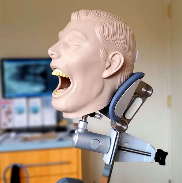 Dental Teeth Oral Radiography Simulator Manikin X-Ray Phantom Training