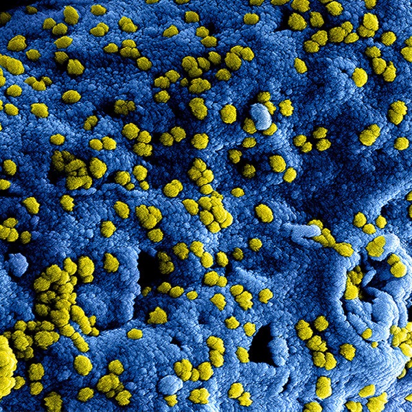 Infection Control with Dr. Hudson Garrett