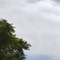 BJerrell