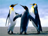 Welcome to the blogs section!