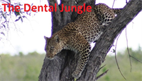 The Big Five: #4 Marketing